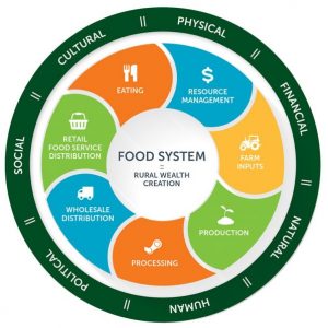 Food system diagram