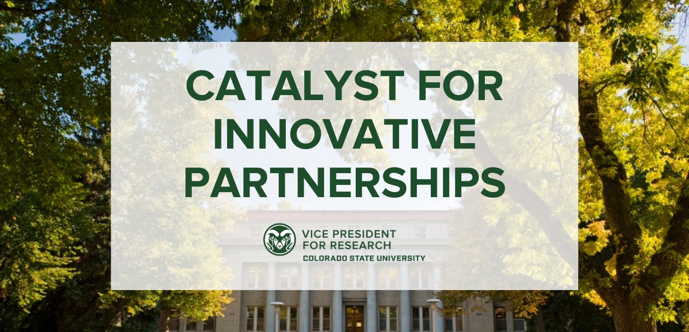 Catalyst for Innovative Partnership logo