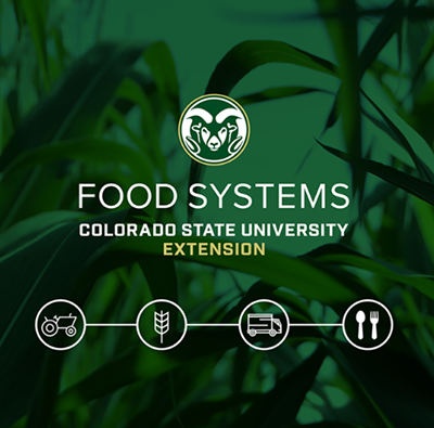 Food Systems Institute header
